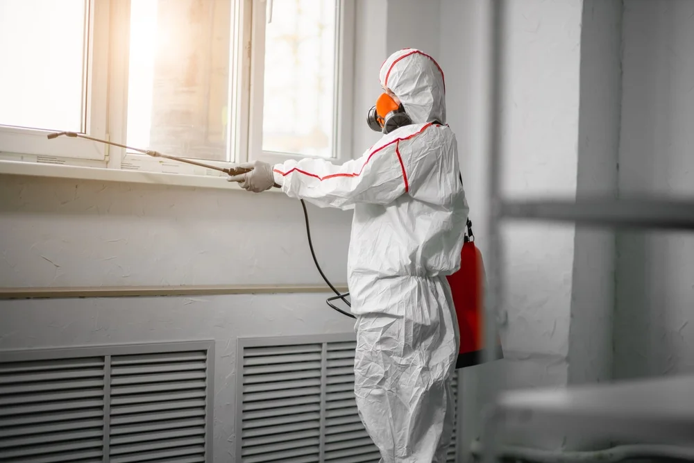 Professional mold remediation services in Carson, IA